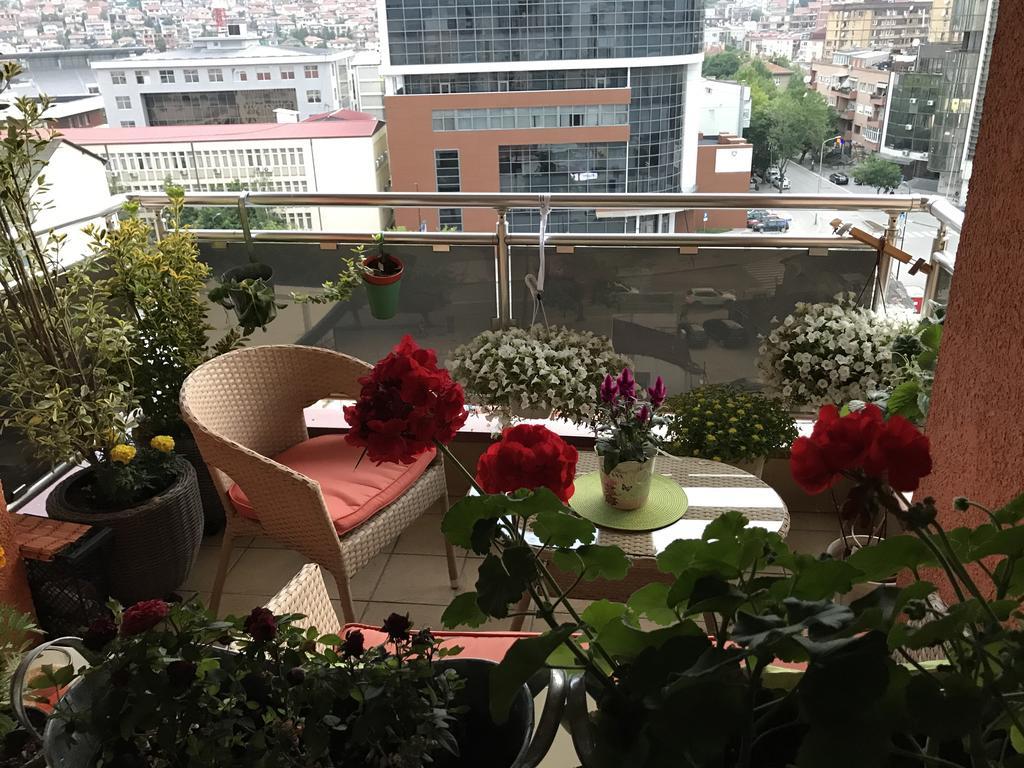 Orion Apartment 1 بريشتاين المظهر الخارجي الصورة